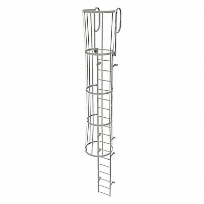 Fixed Ladder w/ Safety Cage Steel 17 ft.