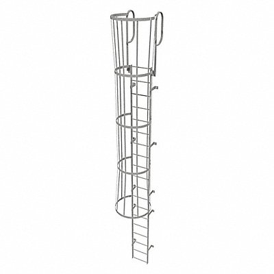 Fixed Ladder w/ Safety Cage Steel 18 ft.