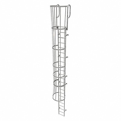 Fixed Ladder w/ Safety Cage Steel 22 ft.