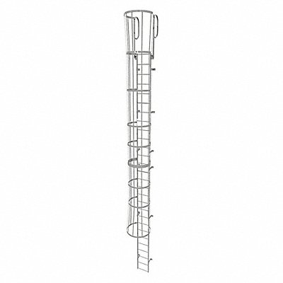 Fixed Ladder w/ Safety Cage Steel 27 ft.