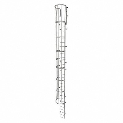 Fixed Ladder w/ Safety Cage Steel 29 ft.