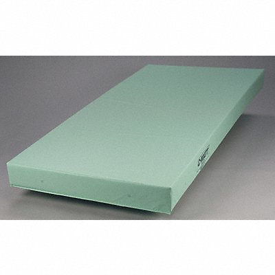 Inst Mattress 75x4x25in Foam