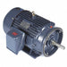 Motor 25 HP 3 555 rpm 284JM 230/460V