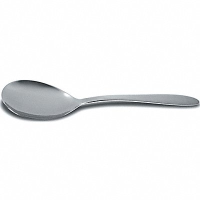 Fruit/Vegetable Server 13.5 in L Silver