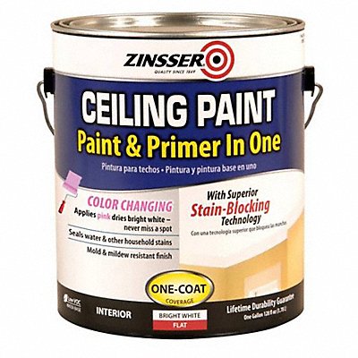 Interior and Exterior Paints