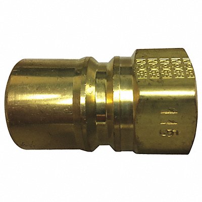 Plug Brass Hydraulic Fitting 1/2 