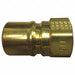 Plug Brass Hydraulic Fitting 3/4 