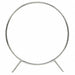 Spring Clamp 4 In