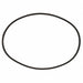 Washer Drive Belt 51-1/8Inx 3/8In