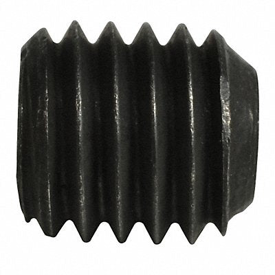 Bolt Standard