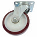 Swivel Caster