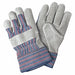 Select Shoulder Gunn Medium PK12