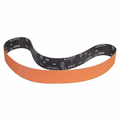 Sanding Belt 48 in L 2 in W 100G PK10