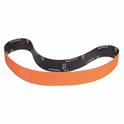 Sanding Belt 60 in L 4 in W 24G PK10