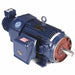 Motor 20 HP 1160 rpm 286TC 230/460V