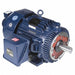 Motor 75 HP 1780 rpm 365TC 230/460V