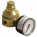 Pressure Regulator 1/4 In 0 to 125 psi