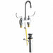 Gooseneck Chrome Chicago Faucets 894