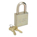 5340015881036,PADLOCK,LGY