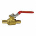 Brass PEX Ball Valve Lead Free 3/4 