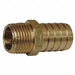 Hose Barb MPT Adapter 1 x1 