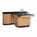 Laboratory Tables Workbenches and Surfaces