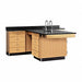 Laboratory Tables Workbenches and Surfaces
