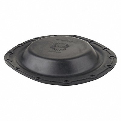 Diaphragm