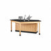 Laboratory Tables Workbenches and Surfaces