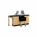 Laboratory Tables Workbenches and Surfaces