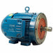 Motor 3/4 HP 3 PH TEFC