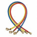 Manifold Hose Set 36 In Red Yellow Blue