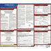 Labor Law Poster State Labor Law CT