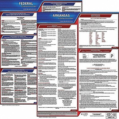 LaborLaw Poster Fed/STA AR ENG 20inH 3yr
