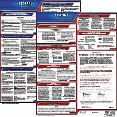 LaborLaw Poster Fed/STA AZ ENG 20inH 1yr