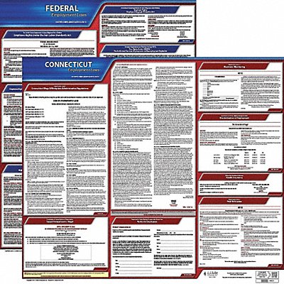 LaborLaw Poster Fed/STA CT ENG 20inH 3yr