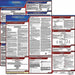 LaborLaw Poster Fed/STA CT ENG 20inH 3yr