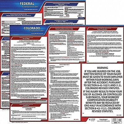 LaborLaw Poster Fed/STA CO ENG 20inH 3yr