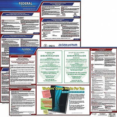 LaborLaw Poster Fed/STA FL ENG 20inH 3yr