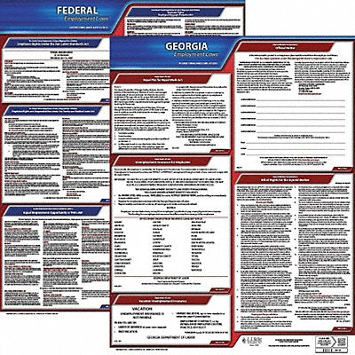 Labor Law Poster Kit GA English 19 in W