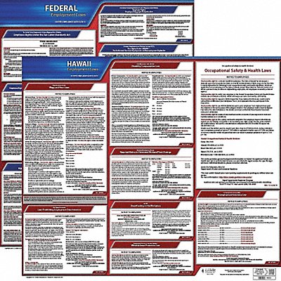 LaborLaw Poster Fed/STA HI ENG 20inH 1yr