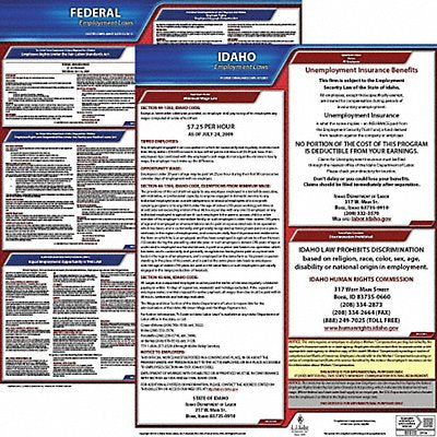 LaborLaw Poster Fed/STA ID ENG 20inH 3yr