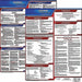 LaborLaw Poster Fed/STA IN ENG 20inH 3yr