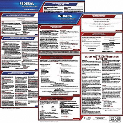 LaborLaw Poster Fed/STA IN ENG 20inH 1yr