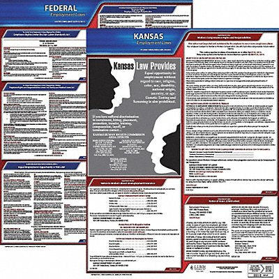LaborLaw Poster Fed/STA KS ENG 20inH 3yr