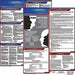 LaborLaw Poster Fed/STA KS ENG 20inH 1yr