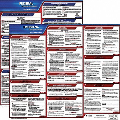 LaborLaw Poster Fed/STA LA ENG 20inH 3yr