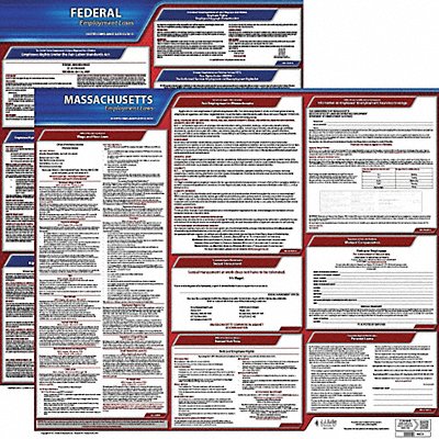 LaborLaw Poster Fed/STA MA ENG 20inH 1yr