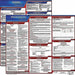 LaborLaw Poster Fed/STA MA ENG 20inH 1yr