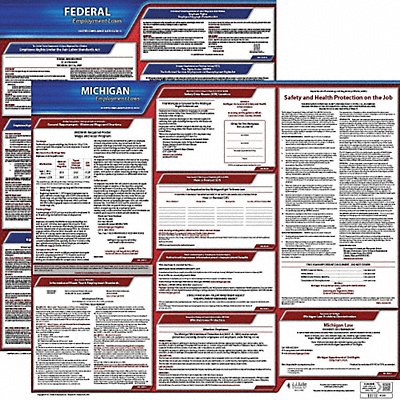 LaborLaw Poster Fed/STA MN ENG 20inH 3yr